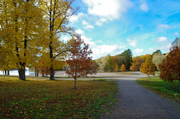 Naklejka premium autumn in the park