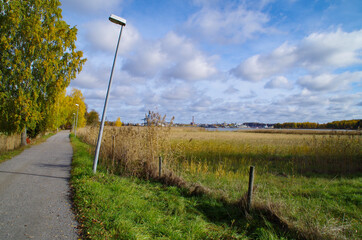 Fototapeta premium road in the countryside
