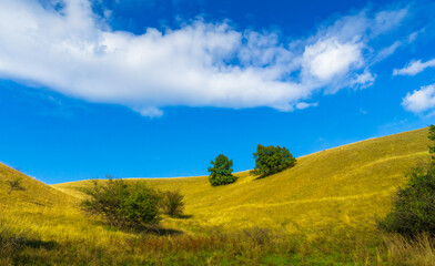 Grassy Hills