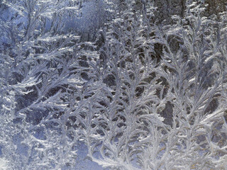 Beautiful frosty patterns on the window