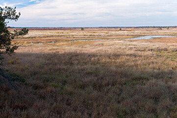 sedge meadow and prairie at necedah