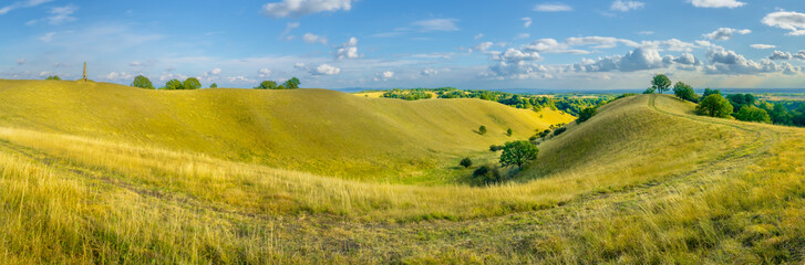 Fototapeta premium Grassy Hills