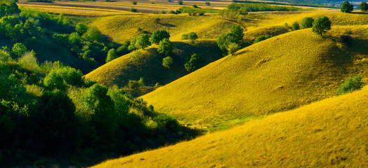 Obraz premium Grassy Hills