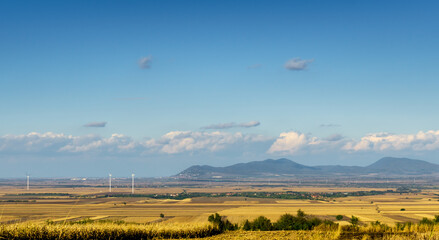 landscape with a field and mountains