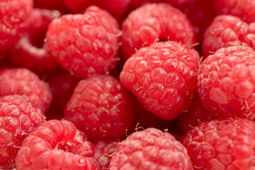 Closeup shot of sweet and ripe raspberries on a blurred background
