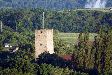 Fototapeta na wymiar Grafenburg in Lauffen am Neckar