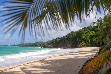 Panoramic view of the paradise beach with palm tree leaves, rocky shore and blue water of Atlantic Ocean and green mountains at the background, Rincon, 