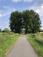 path in the park