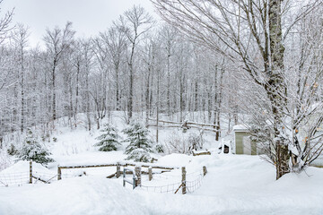 Snow covered scene with hills and valleys landscape