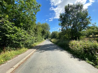 Fototapeta na wymiar Looking along, Woodgate Lane, with trees, wild plants, and a blue sky in, Weeton, Harrogate, UK