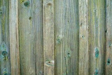 wooden green wall