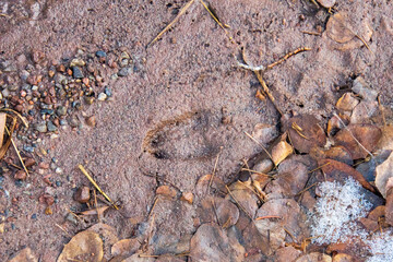 Sylvan Lake Thanksgiving 2020