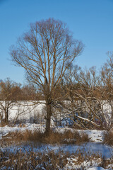 Winter landscape on the shore of the lake on the outskirts of the city.