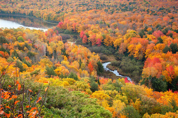 High angle view of trees in brilliant fall color near a lake and small river