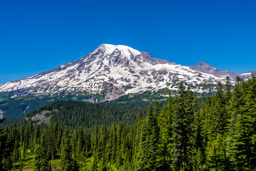 Obraz premium View of Mount Rainier from Pinnacle Saddle trail