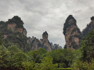 Fototapeta na wymiar The sandstone pillars. Mountains in the national park Wulingyuan. Zhangjiajie. UNESCO World Heritage Site. China. Asia