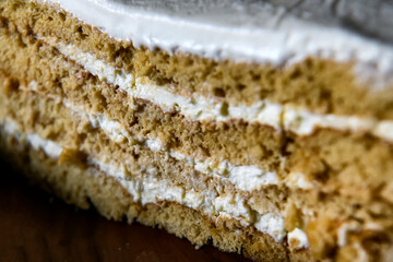 Close up view of Piece of homemade honey cake. Soft selective focus.