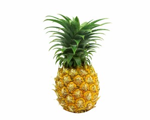 A pineapple harvested from plantations.