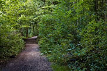 path in the park
