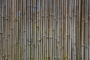 Bamboo Wood Wall
