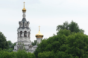 Fototapeta na wymiar russia 2020. Church domes behind a tree branch. general plan