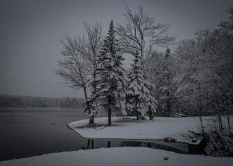 Winter Snow Fall on the Lake
Woodford Mountain Vermont 12.5.20