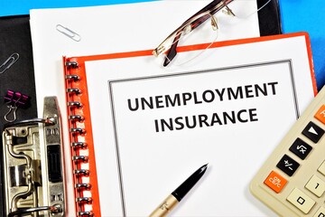 Unemployment insurance. Text label in the document form. Compensation payments provided to employees who have lost their jobs.