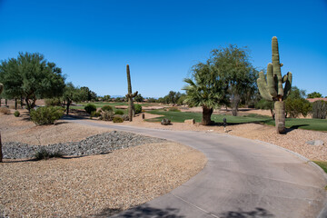 Golf Course in Surprise, Arizona