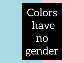 Colors have no gender poster over pink and blue or trans flag color