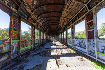 Fototapeta premium Tren abandonado en medio de un bosque