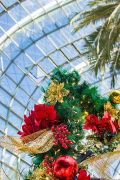 The Beautiful Christmas Decoration In Flower Dome Of Garden By The Bay Singapore. 
It Is A Nature Park Spanning 101 Hectares In The Central Region Of Singapore.