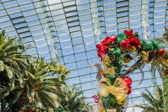 The Beautiful Christmas Decoration In Flower Dome Of Garden By The Bay Singapore. 
It Is A Nature Park Spanning 101 Hectares In The Central Region Of Singapore.