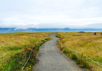 Fototapeta na wymiar View on a meadow pathway on a sunny summer day in Iceland leading to horizon.
