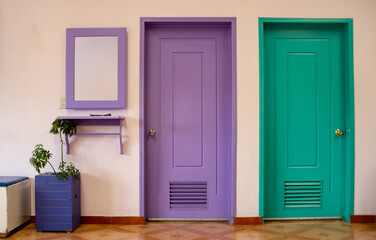 pair of colored doors and mirror that adorn a home