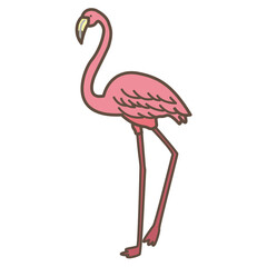 フラミンゴ　かわいいイラスト