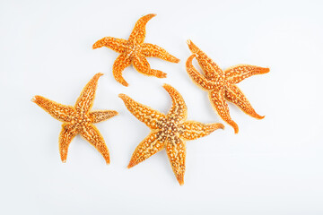 Chinese traditional nourishing soup ingredients dried starfish