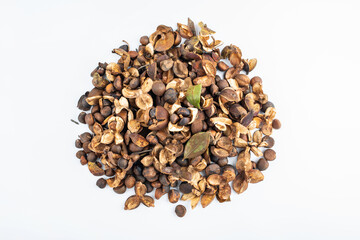 A pile of camellia seeds on white background