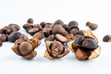 Camellia seeds close-up on white background