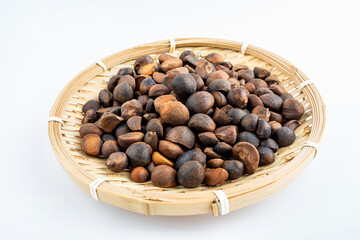 Camellia seeds in a pot on white background