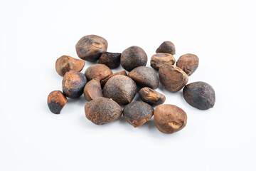 Camellia seeds on white background