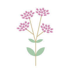 藤袴のシンプルなベクターイラスト（秋の七草）