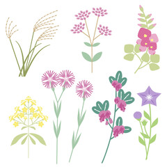 秋の七草のベクターイラスト