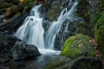 Fototapeta na wymiar Waterfall in Washington's Columbia River Gorge, Pacific Northwest