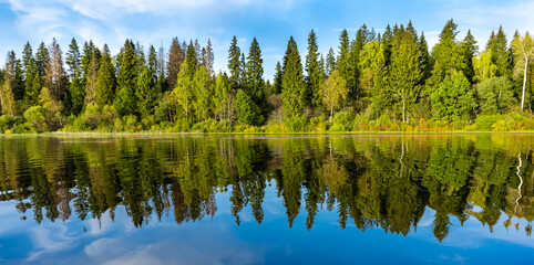Panorama of the forest on the shore with reflection in the mirror water of the lake