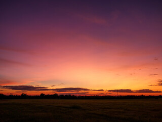 Purple Sunset