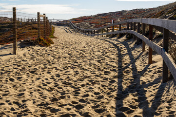 Sand dunes fence at beach with shadow