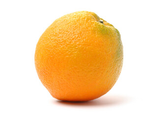 Orange fruit on the white background