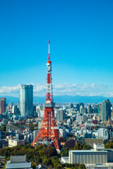 Fototapeta premium 東京タワー