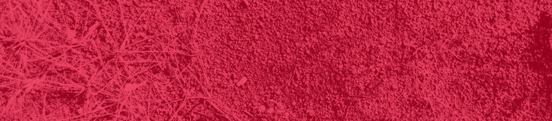 abstract bright pink and red colors background for design