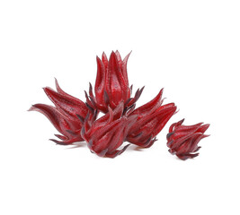 Roselle isolated on a white background.
